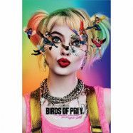 Birds Of Prey, Maxi Poster - Seeing Stars
