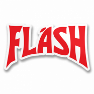 Flash Logo Sticker, Accessories
