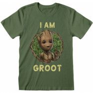 Guardians Of The Galaxy - Marvel T-shirt - I Am Groot - Seventies Style - S XXL - för Herr - oliv