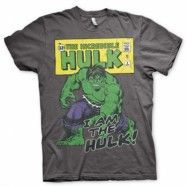 I Am The Hulk T-Shirt, T-Shirt