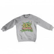 Teeange Mutant Ninja Turtles Distressed Group Kids Sweatshirt