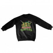 Teeange Mutant Ninja Turtles Distressed Group Kids Sweatshirt