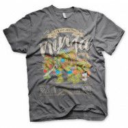 TMNT - Bros On The Road T-Shirt