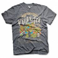 TMNT - Bros On The Road T-Shirt