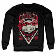 TMNT Ninja Power Sweatshirt, Sweatshirt