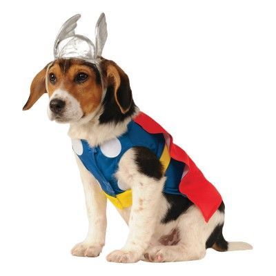 Thor Hund Maskeraddräkt - Small