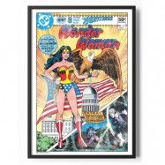 Wonder Woman White House Cover Poster